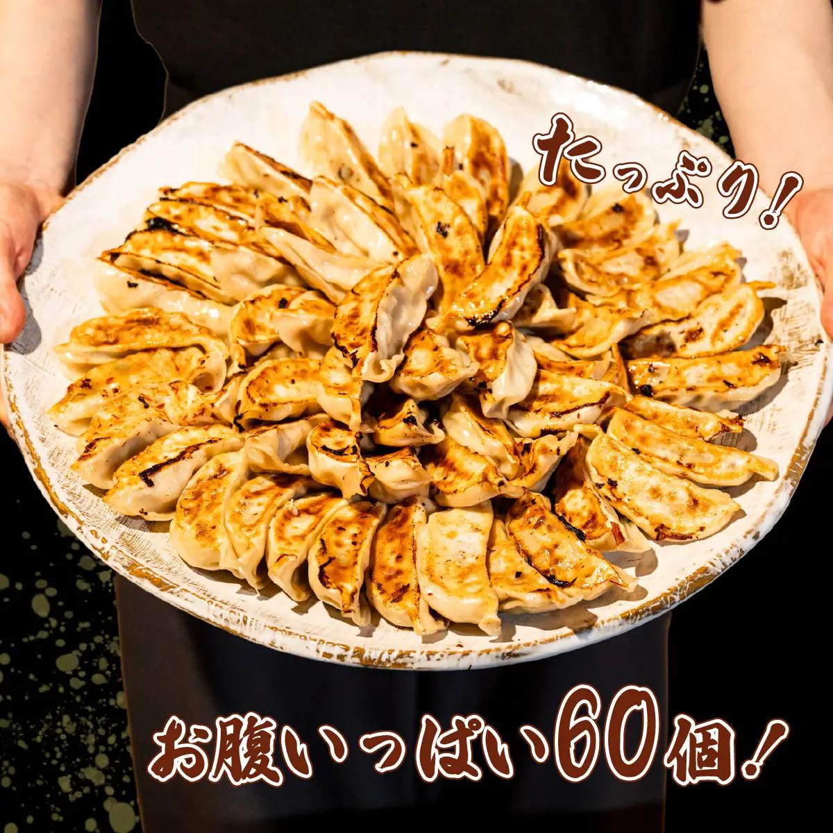 餃子 60個 ブランド豚 餃子