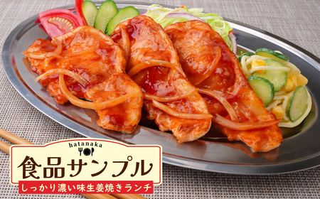 食品サンプル しっかり濃い味生姜焼きランチ (ステンレス皿) | 食品サンプル 生姜焼き 畑中 埼玉県 所沢市