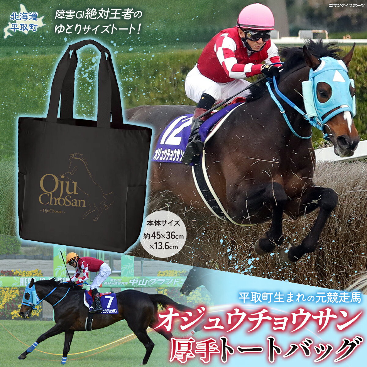 【ふるさと納税】【オジュウチョウサン】厚手トートバッグ【 ふるさと納税 人気 おすすめ ランキング 馬 競馬 競走馬 引退馬 オジュウチョウサン 北海道 平取町 送料無料】 BRTV009