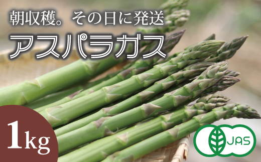 2026年産予約受付　北海道産アスパラガス  1kg　有機栽培【AO-002】