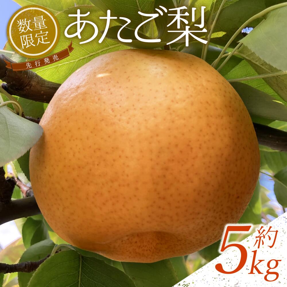 【ふるさと納税】【先行予約】中野農園 梨 ”あたご梨” 5kg箱｜鳥取 岩美 梨 なし ナシ あたご梨 愛宕梨 果物 フルーツ 2025収穫【41023】