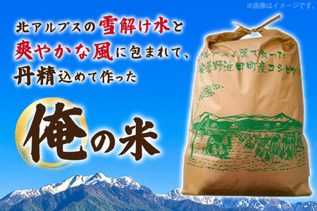 【俺の米】 米 令和8年 コシヒカリ 無洗米 11kg