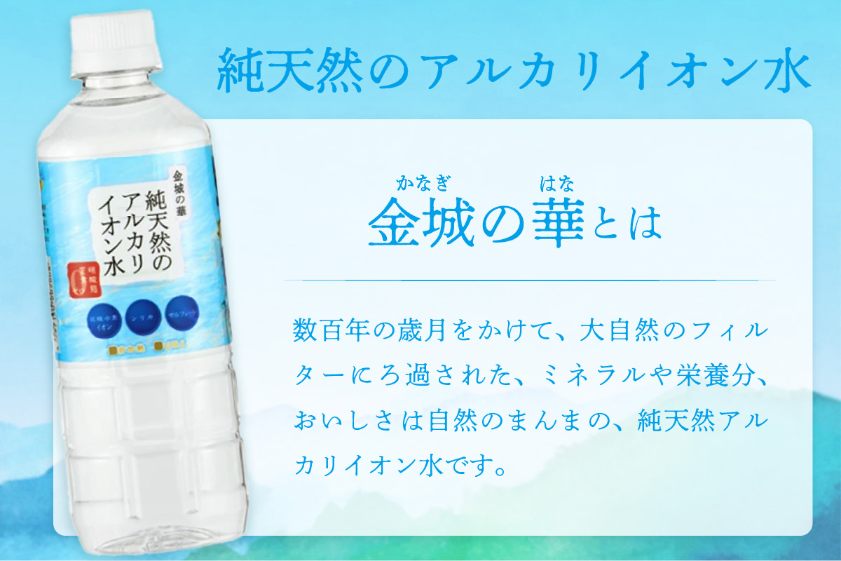 ミネラルウォーター 金城の華 500ml 2L 各一箱  水 ふるさと納税 ミネラルウォーター ペットボトル 天然水 アルカリイオン 水 【67】