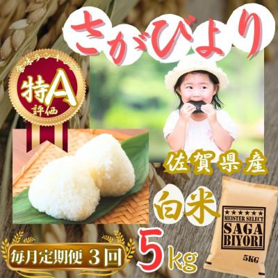 ふるさと納税 伊万里市 【毎月定期便】さがびより【白米】5kg【特A評価】《マイスターセレクト》(伊万里市)全3回