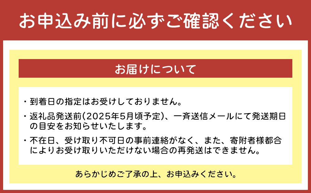 【2024年発送】＜訳あり・ご家庭用＞完熟アップルマンゴー約2kg（白箱）3玉～7玉