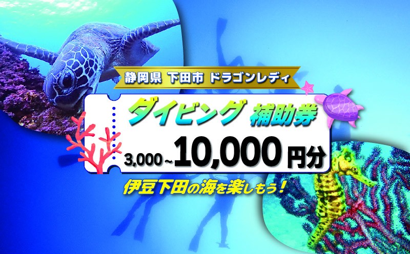 
                  ダイビング 補助券 選べる金額 3,000円分 5,000円分 10,000円分 優待券 下田 体験 海 アウトドア スポーツ アクティビティ マリンスポーツ レジャー 旅行 観光 夏休み お盆 GW 冬休み 春休み 初心者 中級者 上級者 コース 白浜 ホテル伊豆急 内 ドラゴンレディ 静岡県 下田市 伊豆
                
