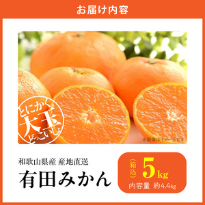 【2026年先行予約】みかん 大玉 どっこいしょ 箱込 5kg ( 内容量 4.4kg ) 2Lサイズ以上 秀品 優品 混合 有田みかん 和歌山県産 産地直送 【みかんの会】_MK1033