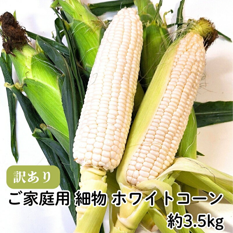 【ふるさと納税】ご家庭用 細物 ホワイトコーン 約3.5kg とうもろこし 野菜　お届け：2025年6月中旬～7月上旬