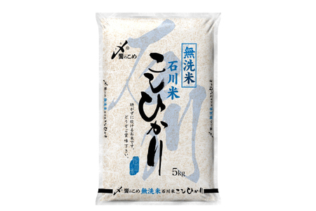 米 令和7年 無洗米 石川米 こしひかり 10kg [38601205] 米