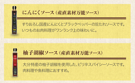蔵工房・二反田醤油 B2.お選び 2点セット | 調味料 ドレッシング 柚子胡椒 大葉 瀬戸内レモン 大分味一ねぎソースドレ にんにくソース 柚子胡椒ソース 生姜ソース ノンオイル 万能ソース 選べる