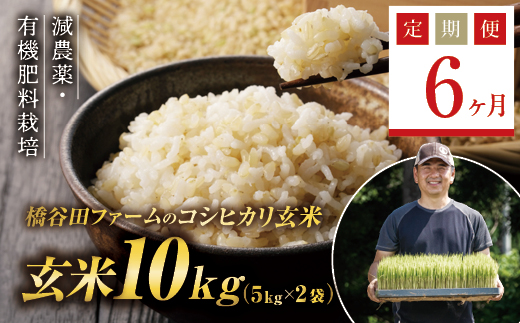 
《定期便6ヶ月》減農薬・有機肥料栽培 西会津産米コシヒカリ 玄米 10kg（5kg×2袋） 米 お米 おこめ ご飯 ごはん 福島県 西会津町 F4D-0413
