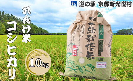 【新米】【道の駅 京都新光悦村】れんげ米コシヒカリ「白米」10kg[高島屋選定品］023N529 【令和６年産新米予約】