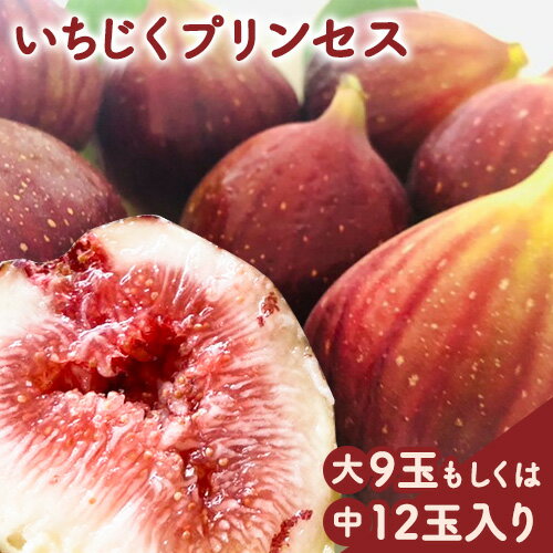 【ふるさと納税】いちじくプリンセス ロハス農園《8月上旬-11月末頃の間で出荷》和歌山県 紀の川市 無花果 イチジク【配送不可地域あり】