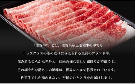 総重量1.3キロ冷凍便 ご自宅で佐賀牛！！「おウチごはん応援」詰め合わせセット 30000円 3万円 お肉 おにく ギフト プレゼント 贈り物 N35-14