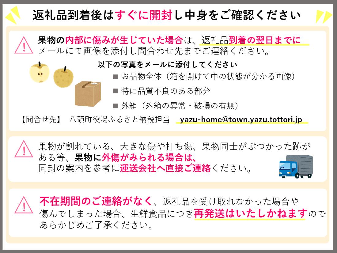 二十世紀梨(特選) 3kg