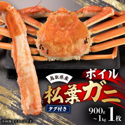 ふるさと納税 智頭町 鳥取県産タグ付きボイル松葉ガニ1枚(900g〜1kg)