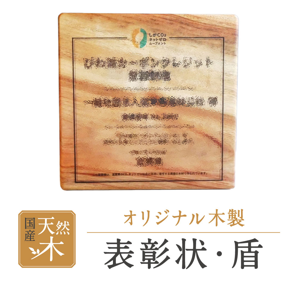 【ふるさと納税】表彰状　盾 木製 もくせい 表彰状 ひょうしょうじょう インテリア いんてりあ 楽天 返礼品 寄付 お歳暮 お祝い 贈り物 故郷納税 滋賀県 東近江 近江 B-E08　東近江市あらゆる場面で木を使う推進協議会