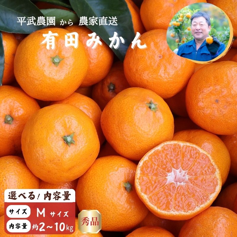 【ふるさと納税】【2026年先行予約】【平武農園より農家直送！】 有田みかん Mサイズ 秀品 選べる 内容量 約 2kg ～ 10kg ミカン 柑橘 フルーツ 温州みかん 濃い 甘さ 酸味 濃厚 農家直送 こだわり 和歌山 有田 田口みかん 田口地区 和歌山県 湯浅町 送料無料