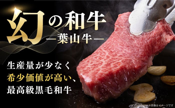 焼肉 牛肉 ブランド牛 切り落とし 黒毛和牛 やきにく 焼肉セット 葉山牛 葉山町