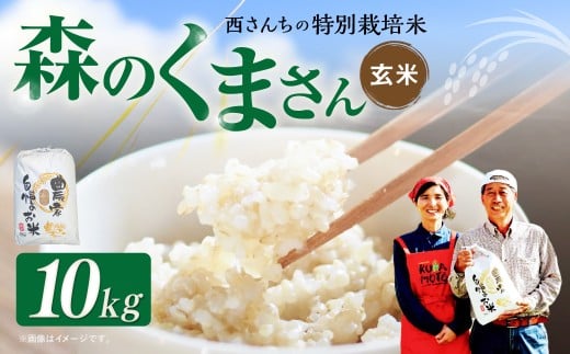西さんちの特別栽培米 森のくまさん 玄米 10kg 【2025年10月下旬～2026年4月下旬迄順次発送予定】 げん米 お米 ご飯 国産