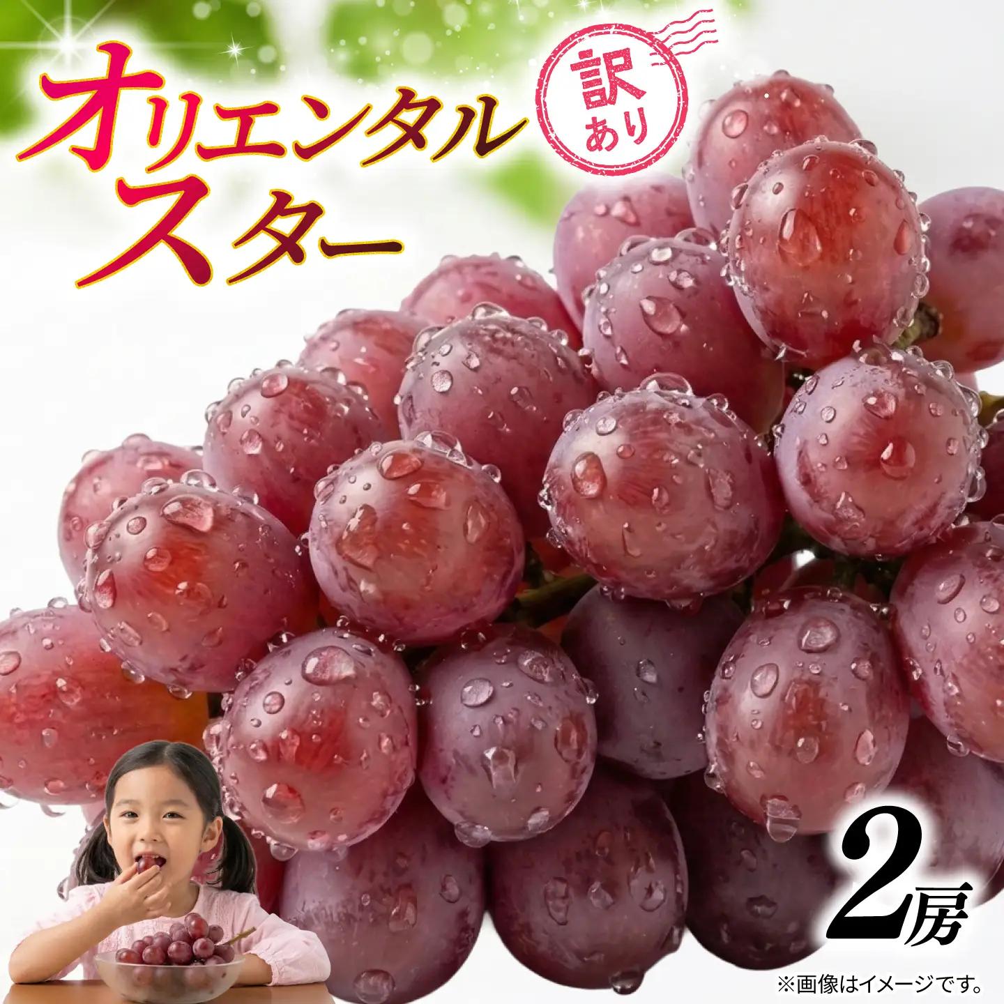 訳あり ぶどう オリエンタルスター 2房 900g 以上 数量限定 種なし ぶどう