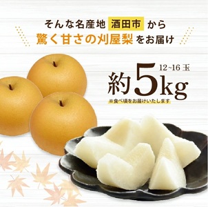 SA2577　和梨 「刈屋梨」　約5kg(12～16玉入)　品種おまかせ(幸水、豊水、南水、あきづき)