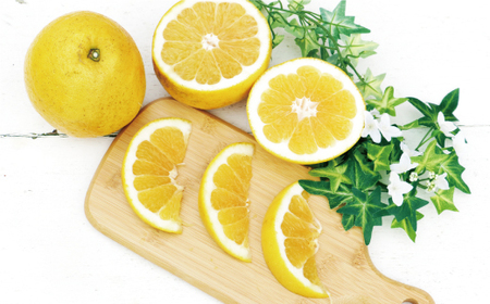 訳あり 河内晩柑 樹齢 20年以上 10kg （ サイズおまかせ ） 7000円 みかん かわちばんかん 愛南ゴールド あいなん ゴールド 美生柑 文旦 グレープフルーツ 和製 家庭用 産地直送 国産