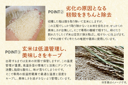 定期便 常陸牛農家が育てるコシヒカリ 10kg×6回 令和7年度産 米 お米 白米 こめ 精米 取り寄せ 特産 ごはん ご飯 コメ お取り寄せ ギフト 贈り物 お弁当 弁当 おにぎり ふっくら ツヤツ