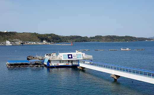 呼子萬坊いかしゅうまいせんべい12袋×2箱セット 煎餅 極旨せんべい お菓子 おやつ 小分け「2024年 令和6年」