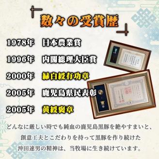 B6-01 鹿児島県産！贅沢な黒・沖田の黒豚(計1.5kg・ロース、肩ロース、バラ、モモ、ウデいずれか5パック) 自然放牧・自家製飼料で大切に育てられた黒豚肉【沖田黒豚牧場】