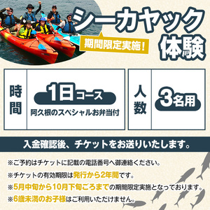 期間限定実施 シーカヤック体験チケット(1日/3名) 阿久根 シーカヤック アウトドア アクティビティ 自然 体験 ツアー チケット マリンスポーツ【パズル】akn098-17