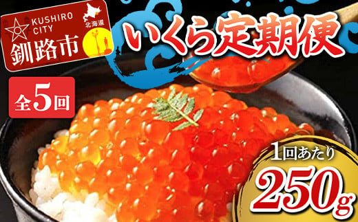 
定期便 5か月連続 北海道産 いくら定期便 250g×5回 いくら 5か月 定期便 F4F-1707
