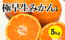 【ふるさと納税】【先行予約】極早生温州みかん約5kg【2024年10月中旬以降発送】佐木島 鷺島みかんじま フルーツ 蜜柑 柑橘 果物 みかん ミカン 産地直送 017012