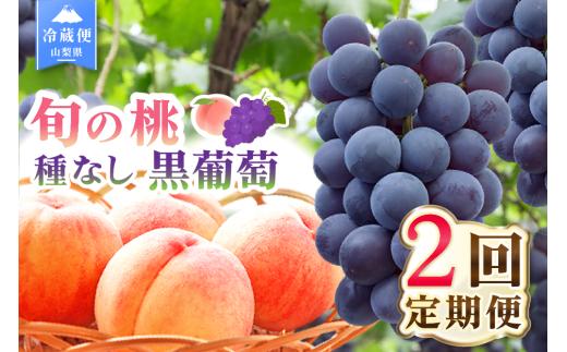 【2027年発送★先行予約】 2回定期便 旬のフルーツ定期便（桃1㎏・種無し黒葡萄1房） 180-026-27y