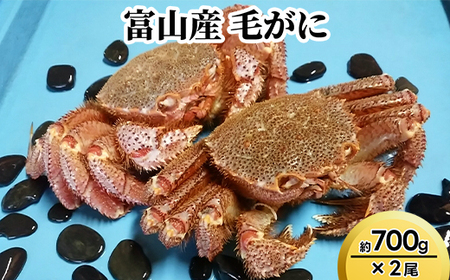 富山産　毛がに約700g ×2尾　※2026年11月～発送