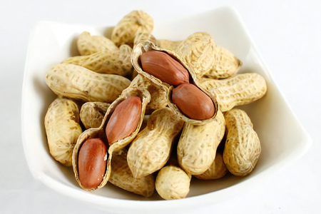 奥野農園 殻付き煎り落花生 (高級品種「千葉半立」) 計540g [180g×3袋]｜産地 直送 茹で 落花生 大粒 ピーナッツ 贈り物 ギフト お歳暮 千葉 房総 袖ケ浦 [0573]