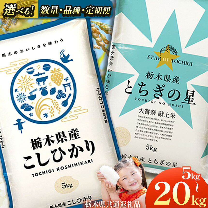 【ふるさと納税】令和7年産 選べる 定期便 米 お米 こめ コメ こしひかり コシヒカリ とちぎの星 1回 3回 5kg 10kg 20kg | 2025年 2025年米 米 秋 白米 ごはん ご飯 小分け 人気 おいしい 旨い おにぎり おむすび お弁当 限定 栃木県共通返礼品 栃木県 下野市 送料無料