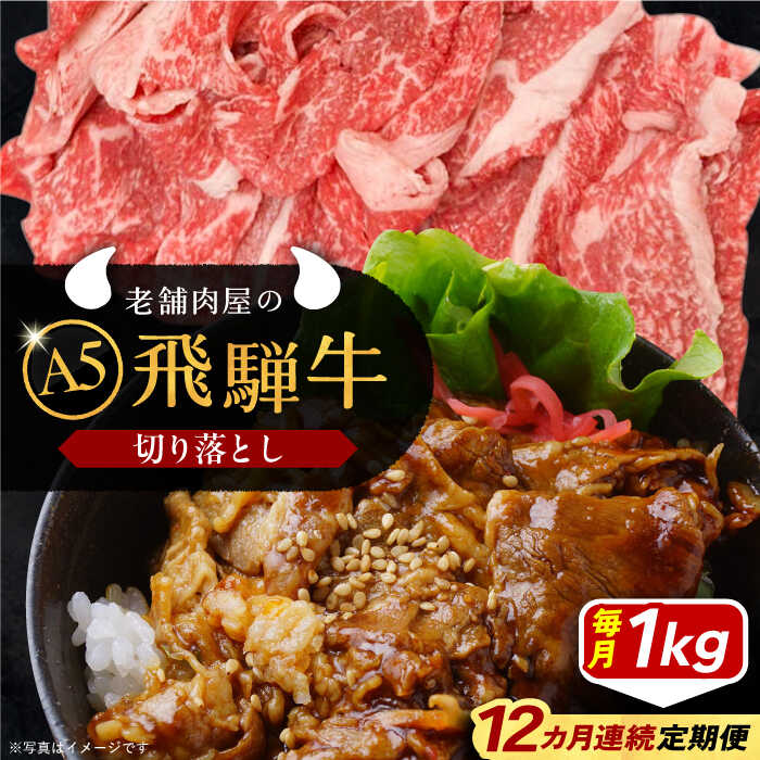 【ふるさと納税】【12回定期便】 飛騨牛 切り落とし肉 A5ランク 1kg 和牛 国産 霜降り 恵那市 / 岩島屋 [AUAJ035]