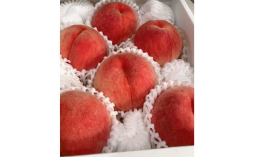 ＜2025年度先行受付＞徳島の桃　happeach　糖度13度以上　2kg(6個入り)【1612306】