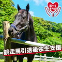 【ふるさと納税】 競走馬 支援 黒潮友馬会応援 特典 ポストカード 高知県 須崎市 競馬 馬 サラブレッド