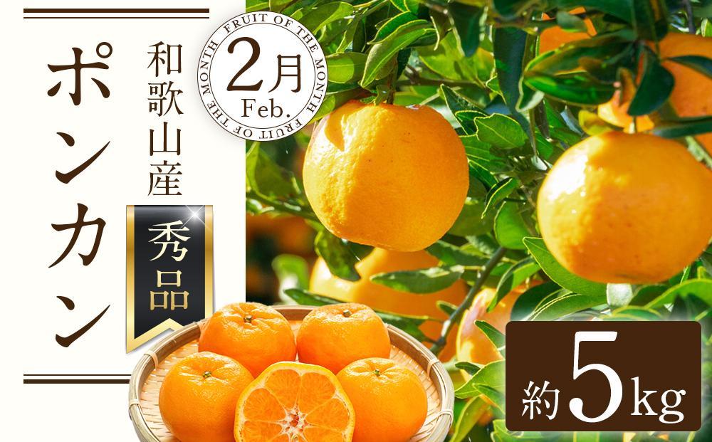定期便全3回 【2月・3月・4月発送】 和歌山の春の柑橘 （ポンカン・はるか・ブラッドオレンジ）秀品【TM173】