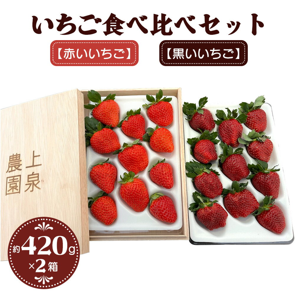【ふるさと納税】[予約受付] いちご食べ比べセット《黒いいちご》と《赤いいちご》｜イチゴ 苺 果物 フルーツ [0633r]