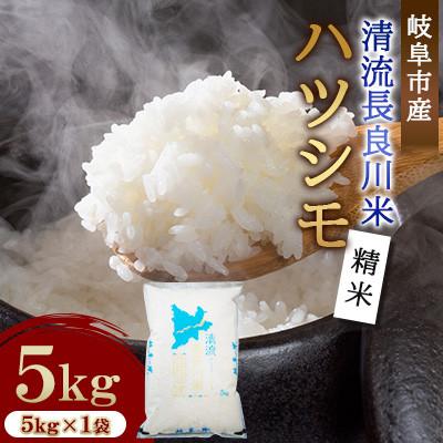 ふるさと納税 岐阜市 岐阜市産 ハツシモ 清流長良川米  精米 5kg