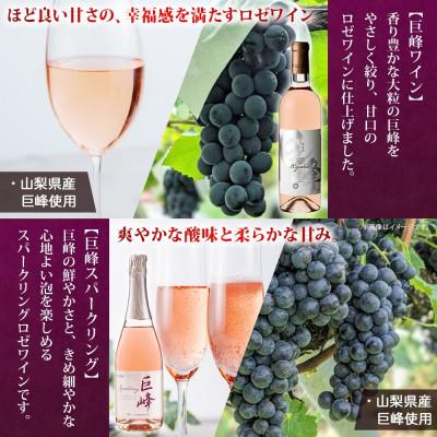 ふるさと納税 笛吹市 山梨県 モンデ酒造 モンデワイン 飲み比べ 5種×各1本 赤 白 スパークリング 笛吹市 |  | 02