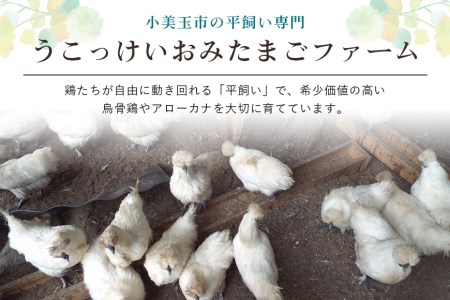 平飼い極上のうこっけいの卵と幸せの青い卵（アローカナの卵）のセット24個（20＋補償4個） 食べ比べ 食べくらべ 卵かけご飯 卵かけごはん TKG 卵 たまご タマゴ 玉子 安全 テレビ TV 健康 