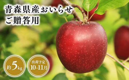 １０月・１１月発送　贈答用おいらせ5ｋｇ　【そと川りんご園・１０月・１１月・青森県産・平川市・りんご・おいらせ・5ｋｇ・贈答用】