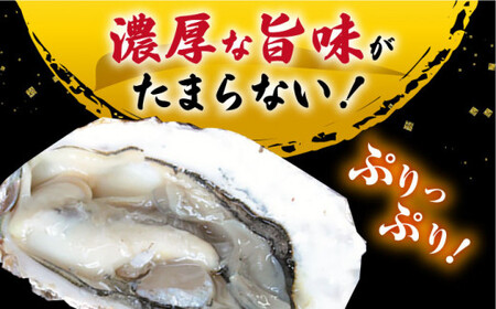 ※配達日時指定必須※【オゾン水で24時間浄化】うず潮カキ5kg（約65～100個）＜西彼町漁協＞ [CBZ002]