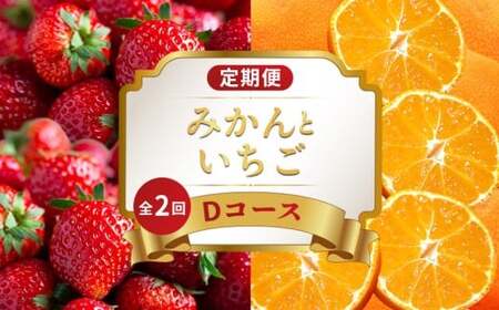 旬のフルーツ定期便 2回 Dコース フルーツ 定期便