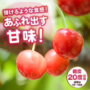 大粒さくらんぼ童夢の「紅秀峰」バラ詰め（約500g 2L～3L）【2025年発送】（DOM）C-141