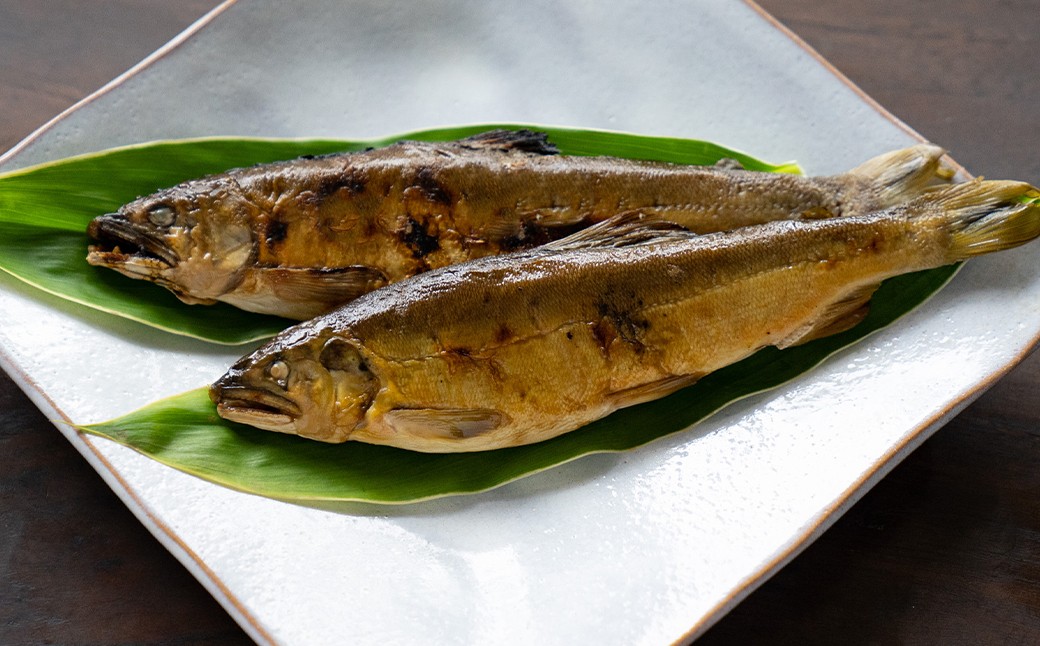 
〈清流・高津川産〉香味豊かな天然鮎の炭火塩焼き1匹入りレトルト×2袋【1287879】
